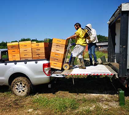 Regali di Natale per SVELT