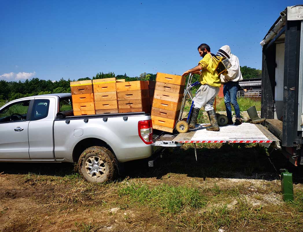 Regali di Natale per SVELT