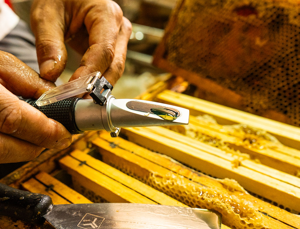 L'Arte della Smielatura: dal Fiore al Vaso