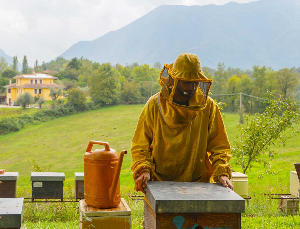 La Nutrizione delle Api in Inverno: Il Candito