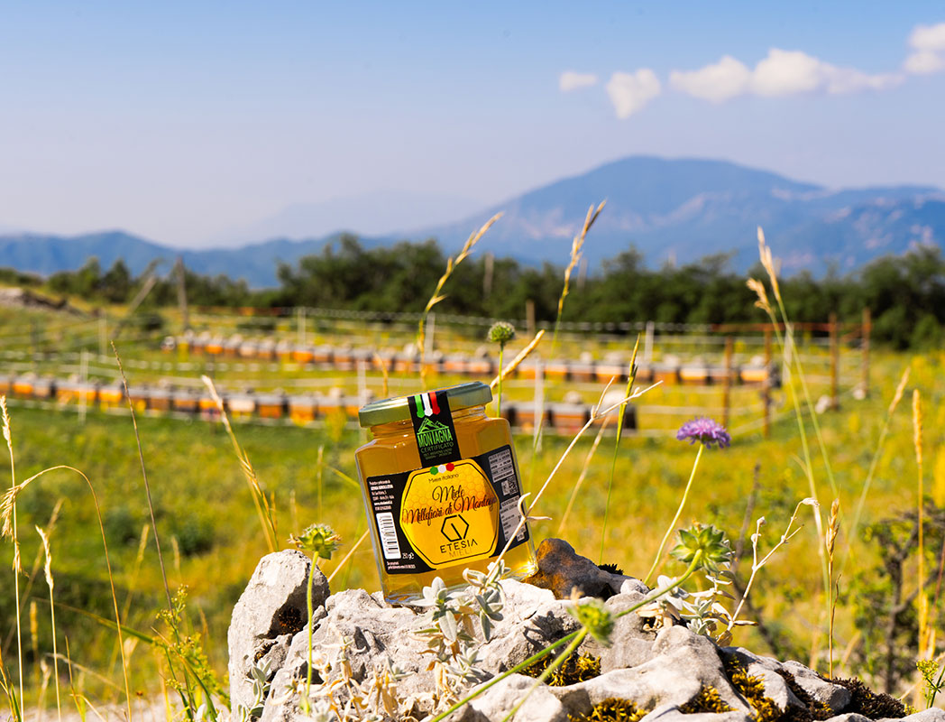 Il Miele Millefiori di Montagna: un tesoro della natura.
