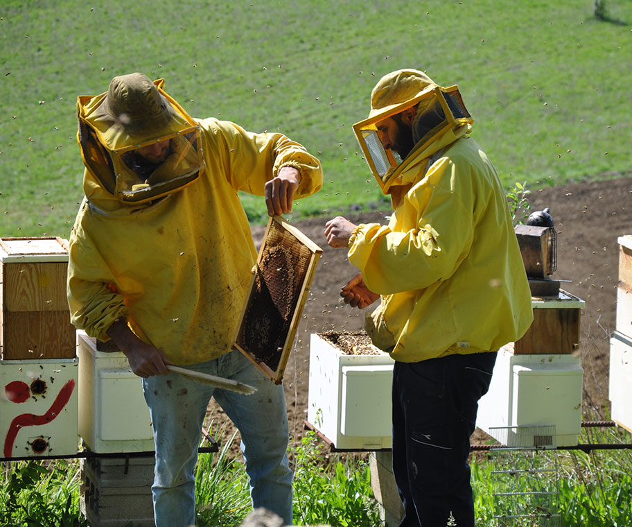 Chi siamo, etesia mieli