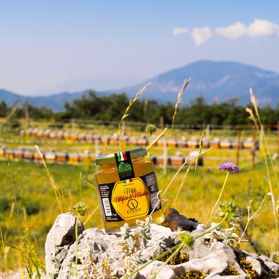 Il Miele Millefiori Di Montagna Un Tesoro Della Natura