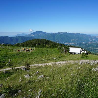 Miele Di Montagna Stazzo Panoramica