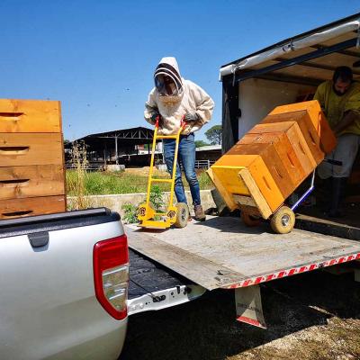 Svelt Spa Per Etesia Miele Natale