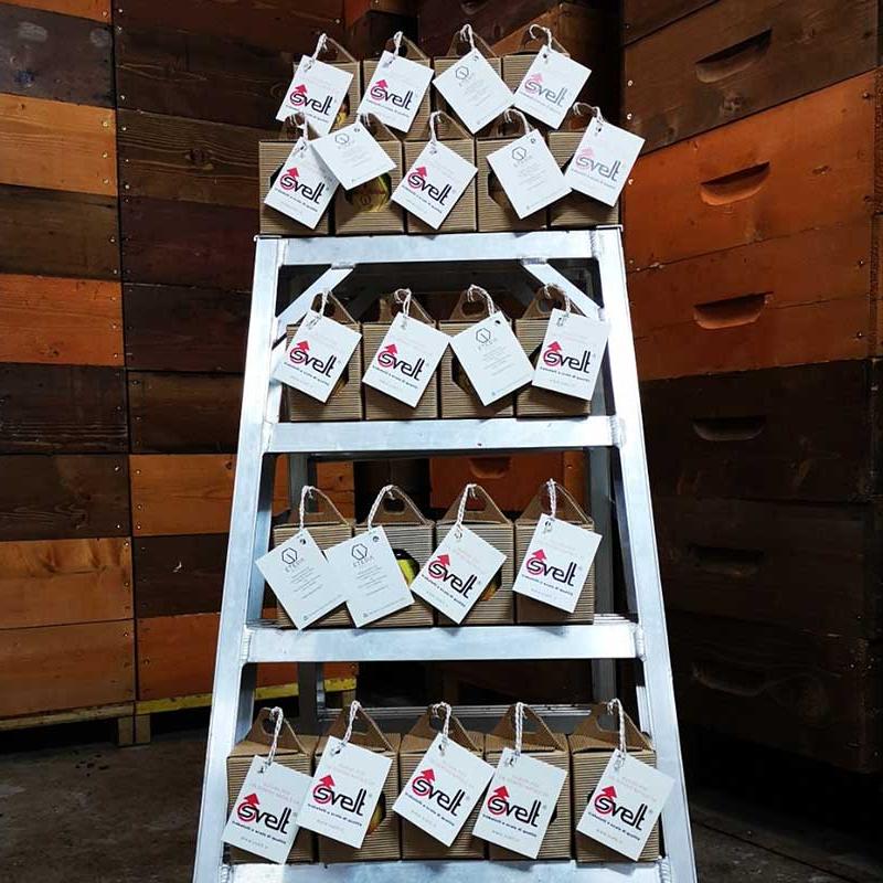 Svelt Spa Per Etesia Mieli 2023 Natale