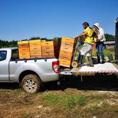 Svelt Spa Per Etesia Mieli 2023