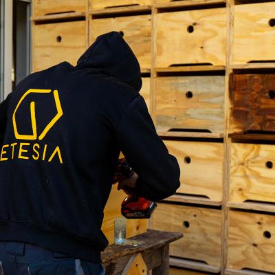 Costruzione Arnie Etesia Mieli Legno